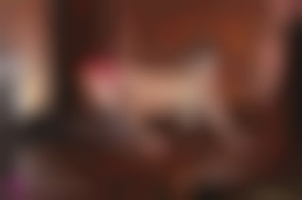 Pornochic by Tiffany Leiddi #1