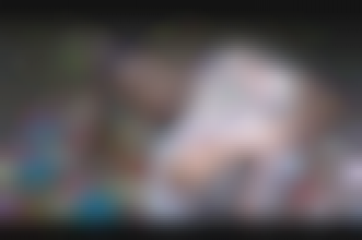 Intimate retreat - In the heart of nature #1