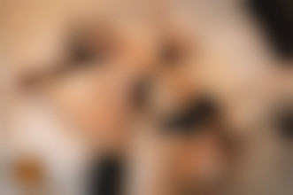 Die Arbeitslast nach Hause bringen #12