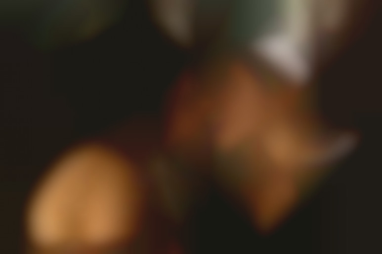 Désignée princesse par un caprice du hasard, l'ex call girl entraine sa servante dans les plaisirs lesbiens hard