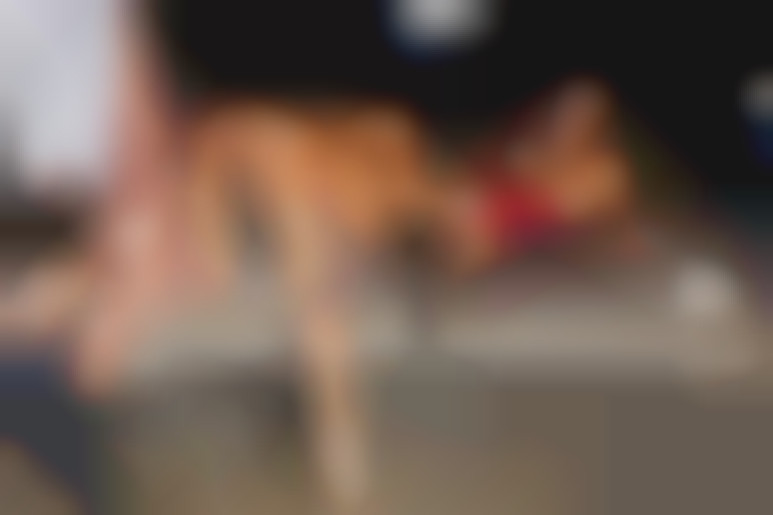 Initiation to voyeuristic pleasures