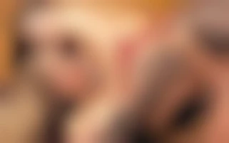 Orgie hard et baise dans tous les sens pour 4 bombes perverses et un étalon au top de l'endurance