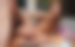 Pornochic by Angelika Grays