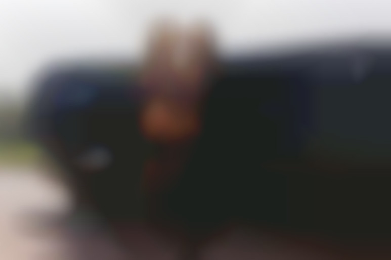 Two gorgeous girls and a limo for a hardcore lesbian party with dildos