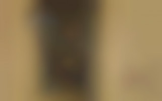 Sarah Young's foursome