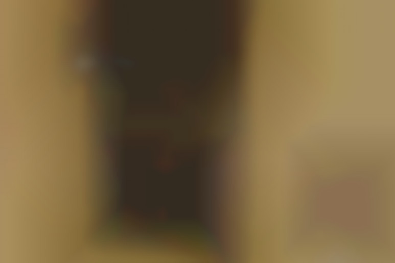 Le plan à 4  de Sarah Young