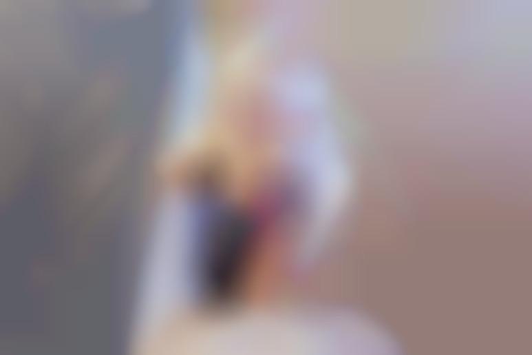 Maid Fantasy with Shinaryen