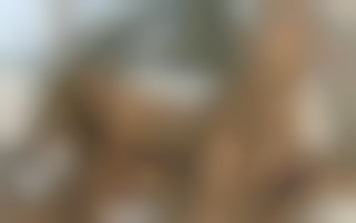 Behind the scenes of X