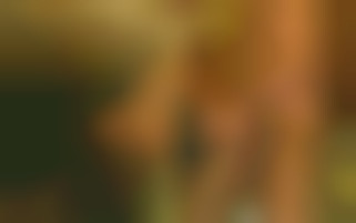 Professional meeting