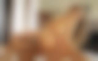 Morning Anal with Tiffany