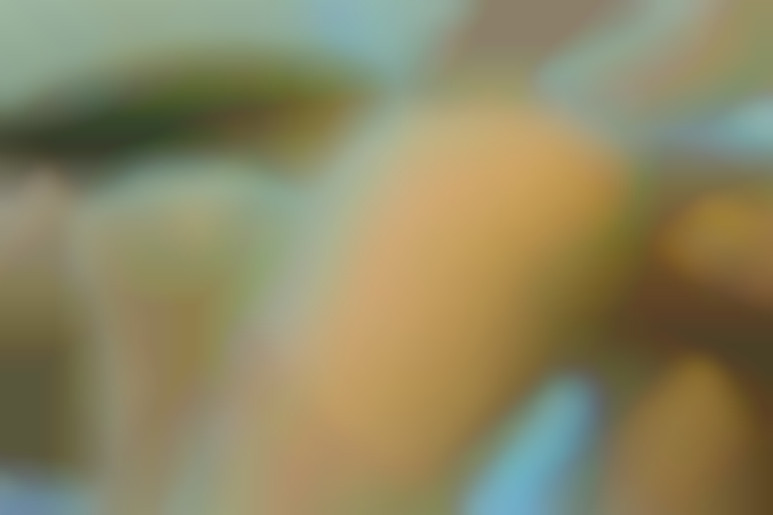 Le lieu de tous les plaisirs