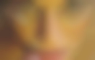 The director has no limits