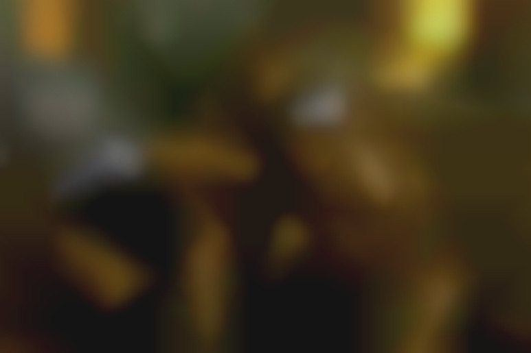 On the other side of the mirror