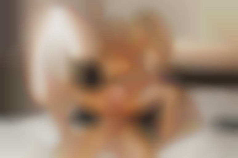 Céder à la tentation