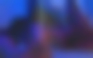 Chaudes nuits d'été