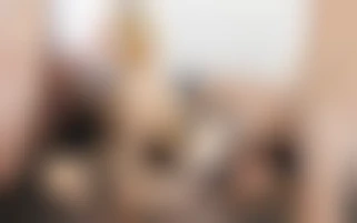 The most exciting view