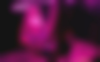 Lilly Bell's would you rather? interview