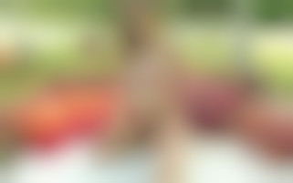 Pleasant Distraction