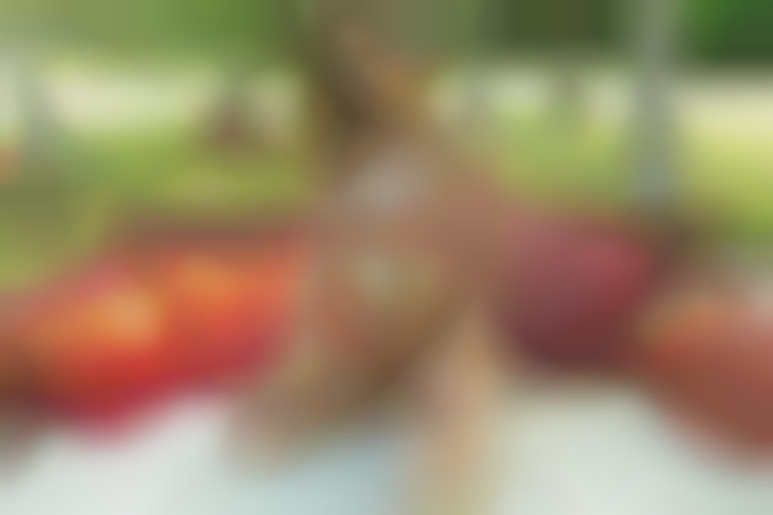 Pleasant Distraction