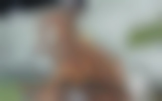 Des miss en chaleur - Merci pour l'info