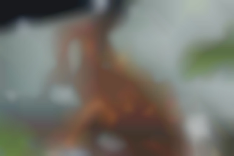 The hottest miss - Thanks for the info