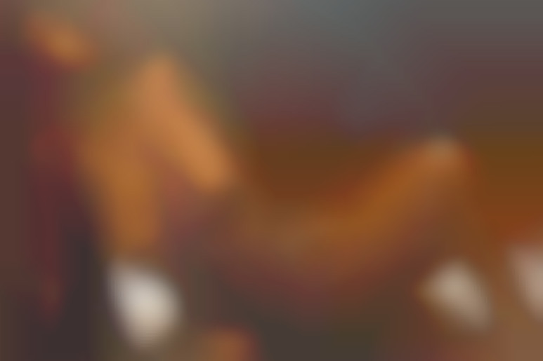 Domination games - Lisa and Luc