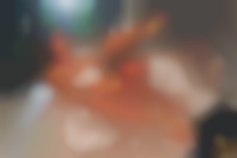 The au pair's evenings