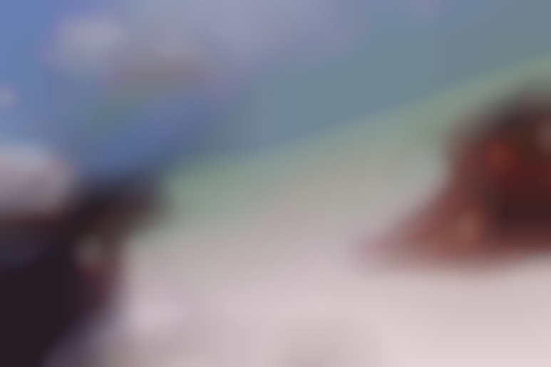 Making-of - Bachelorette Party 