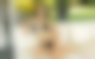 Your Step-Daughter's Education