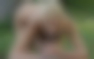 Cherry Kiss, sodomisée par son professeur
