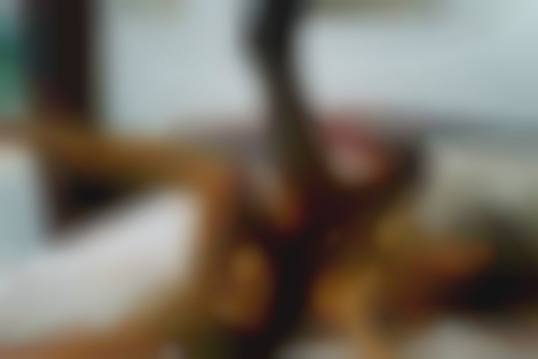 Laure Sainclair - L'infirmière