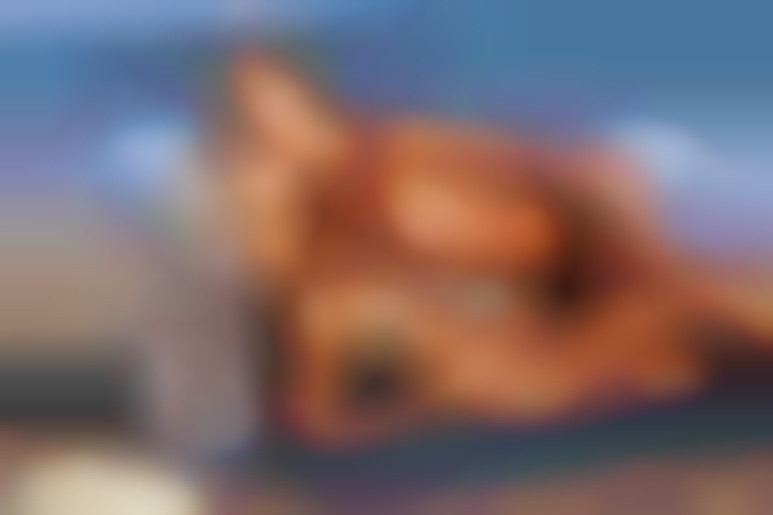 Tu peux venir plus près