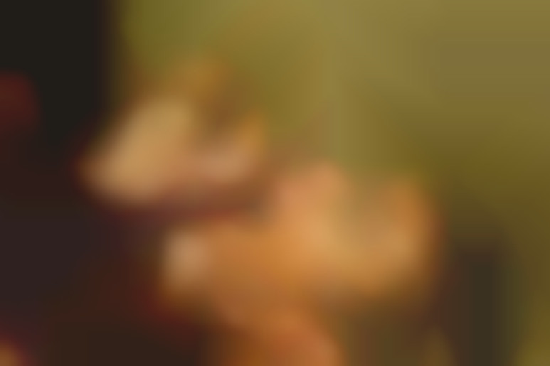 Lola Rêve fait la meilleure pipe du monde à Manuel Ferrara