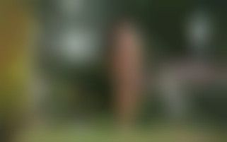 La belle-mère prend les devants