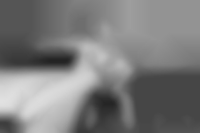 Revenge by Carolina Cherry