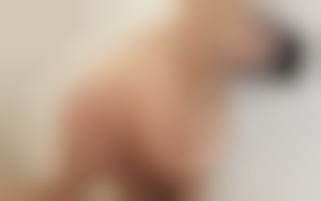 The Power of Feng Shui