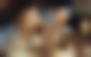 Vintage - Orgy in a castle