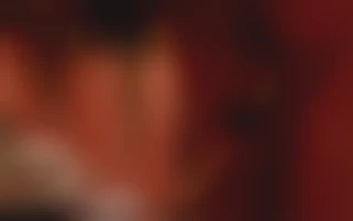 A one-night adventure