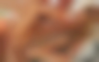 Holidays without my parents