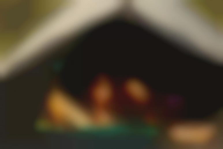 Passionate travellers engage in tent sex at the campsite