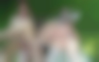 Trio sous les arbres : une MILF organise un pique-nique