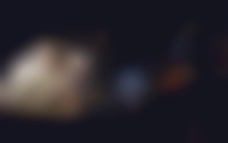 Lügen zwischen Freunden