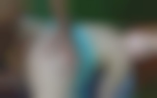 Jolie rousse dans le jardin