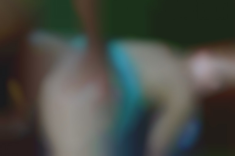 Jolie rousse dans le jardin