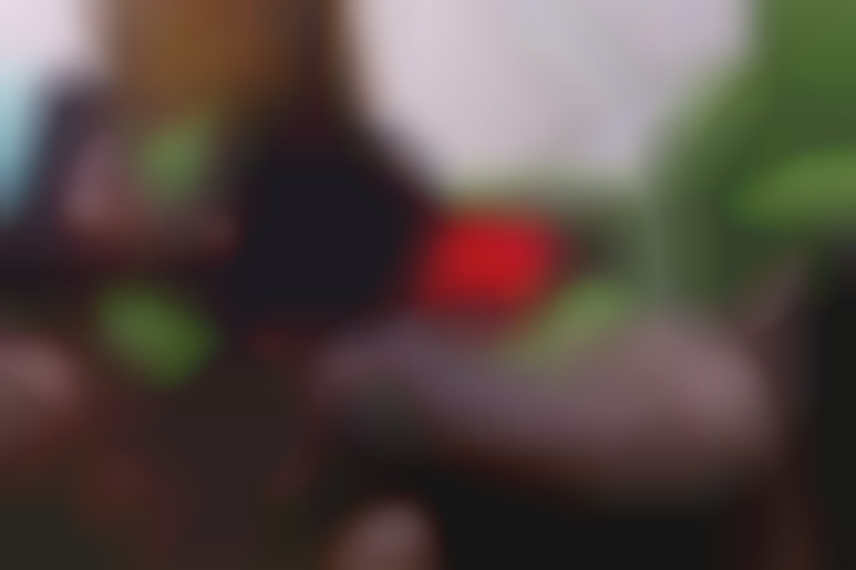 Top Model X - Season 2 - Seduction