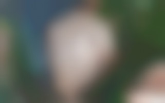 De magnifiques vues et sensations à Séville