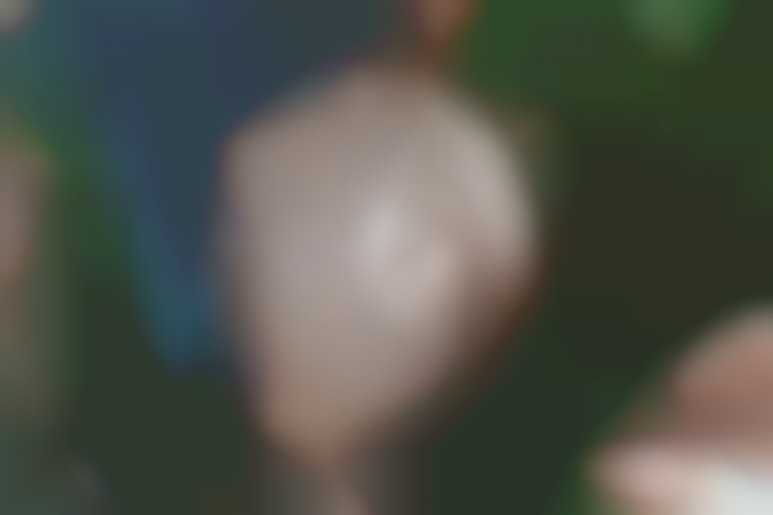 Magnificent views and sensations in Seville