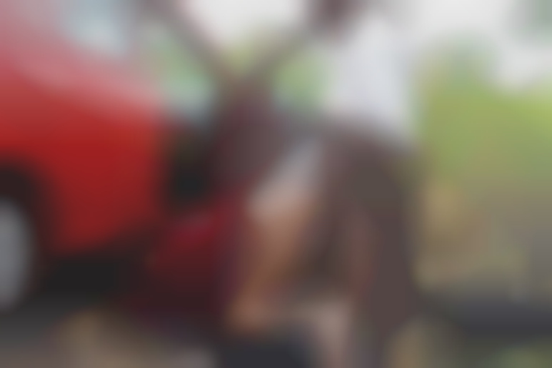 Les amants - Plan à trois