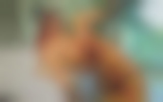 Hardcore-Sex-Session auf der Couch mit analem Ende