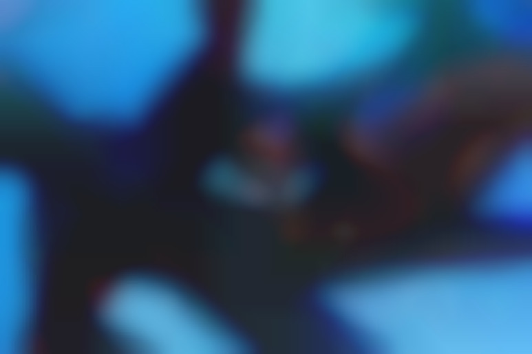 Hot Affairs - Zurück zu Hause